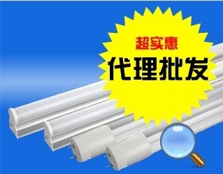 山東節能環保ED燈管代理價格信息 - 007商務站-全球網上貿易平臺