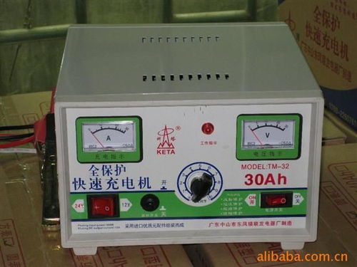 30a智能全保護快速充電機
